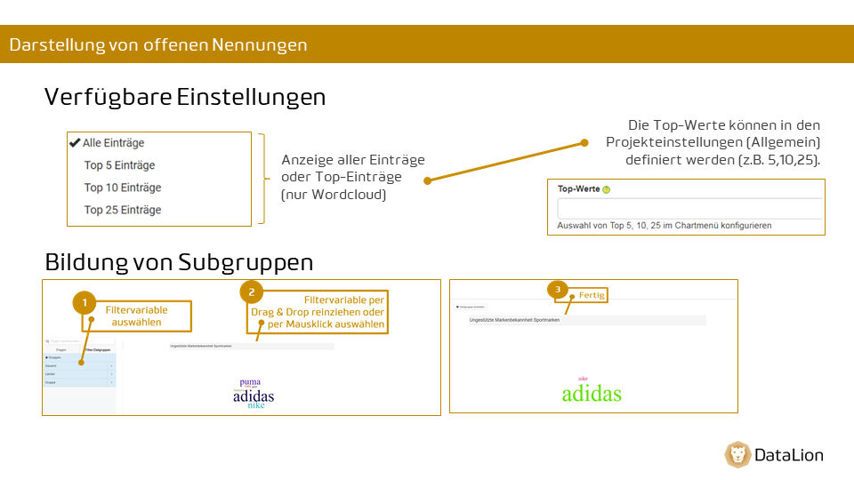 Visualizing open-ended responses
