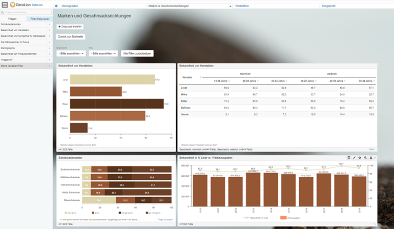 DataLion-Dashboard aus aufbereiteten Marktforschungsdaten