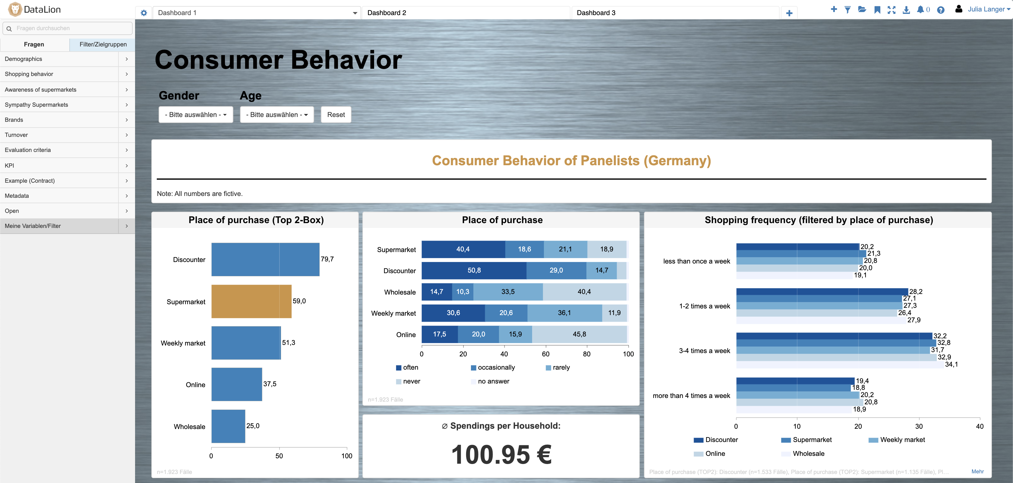 Interactive DataLion consumer-behavior dashboard with bar charts and filters for place of purchase and shopping frequency